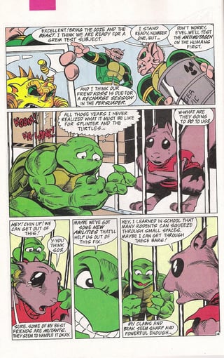 April is transformed into the turtle, whilst the receptionist who was also caught with her is transformed into a creature similar to Splinter