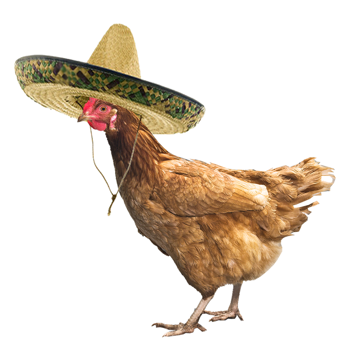 Hatted Rooster