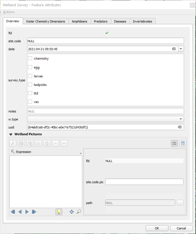 Screen capture of the resulting form in QGIS