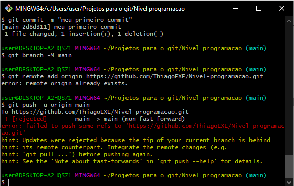 Erro ao dar push no git!