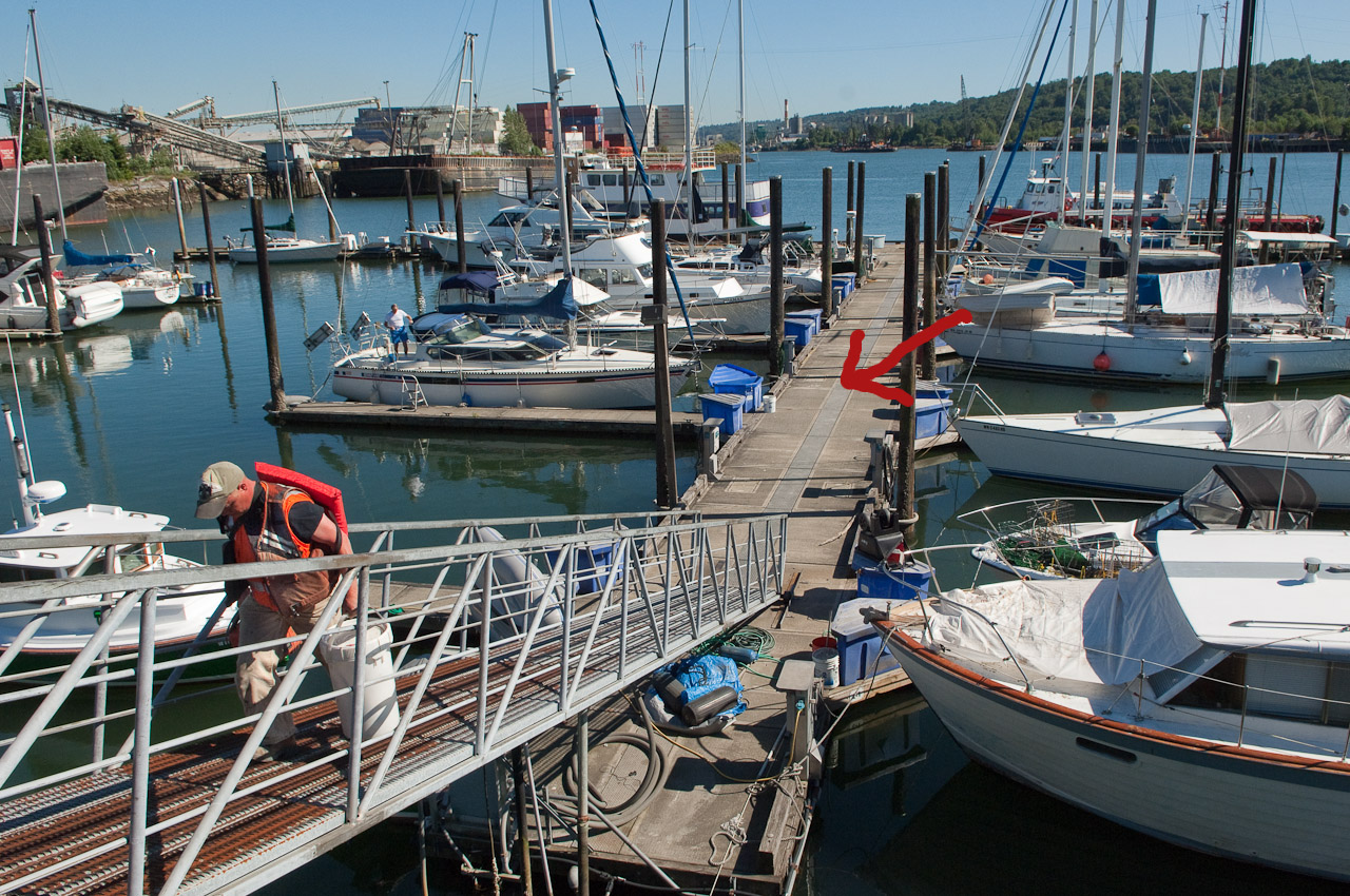 a marina dock in Port of Seattle with several boats moored on either side