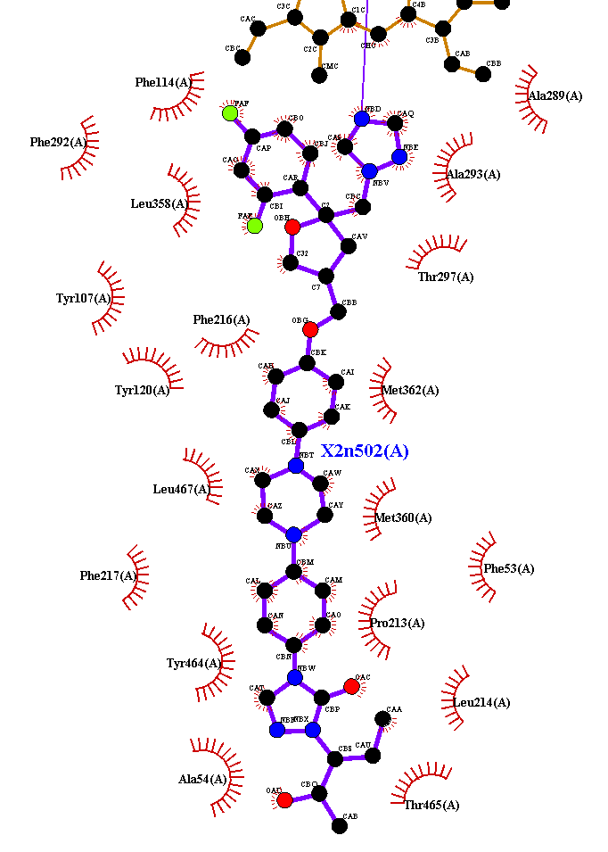 Ligplus