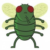 Green Fly's user avatar