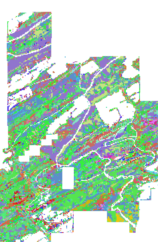 Raster layer with vegetation classes for each pixel