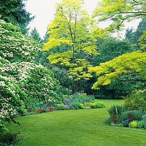 great lawn and plant bed design 