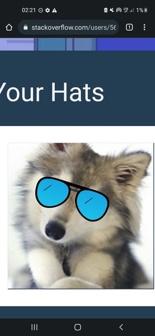 A baby dog/husky wearing sunglasses. (This is the "2cool4skool" Winterbash hat.)