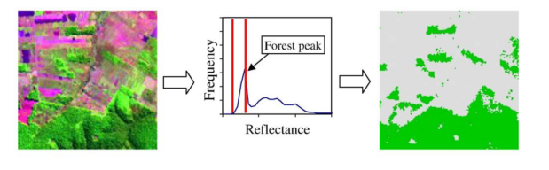 exemple of dividing histogram values by modal value to forest and non-forest