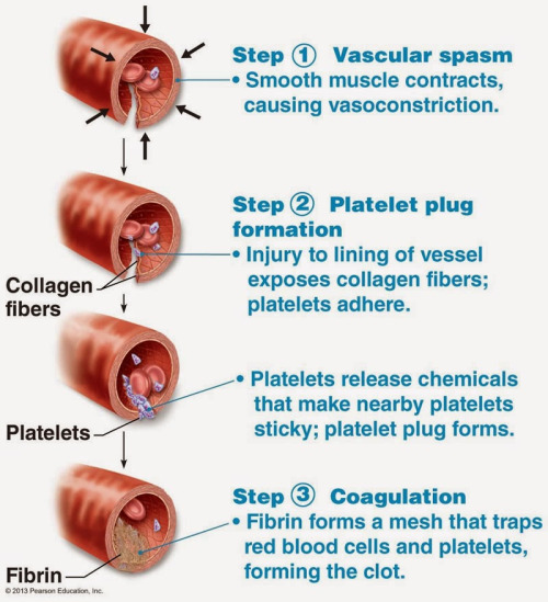 clotting