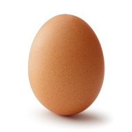 Egg