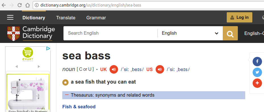 sea-bass