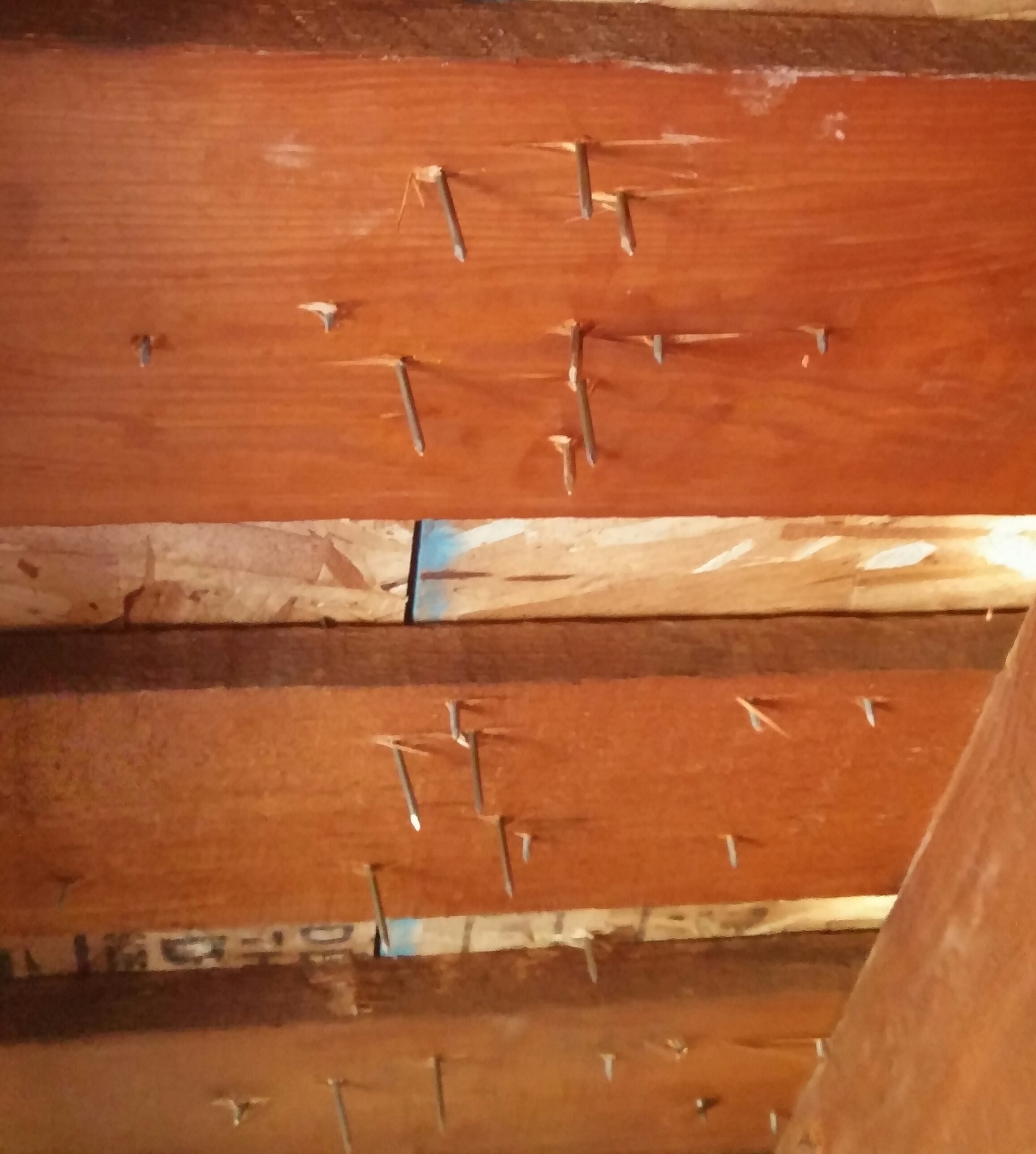 image of roof nails