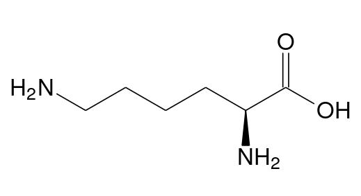 Lysine