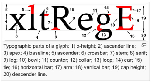 Typeface Anatomy