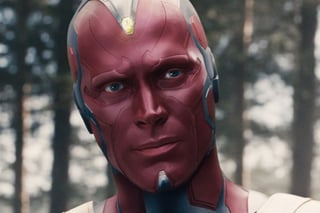 Vision and the mind stone