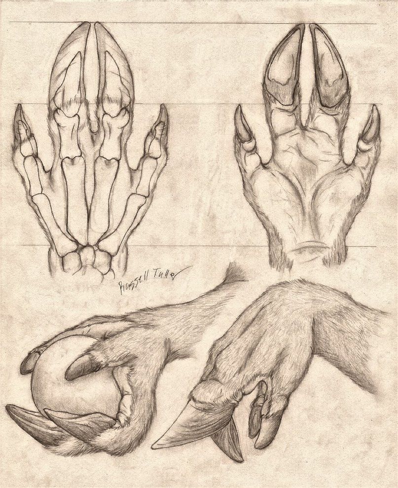 Hand Concept 2