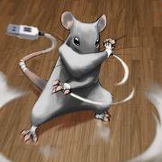 the digitalmouse's user avatar