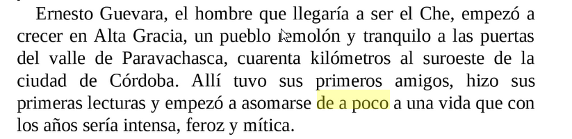 texto sobre el Che Guevara