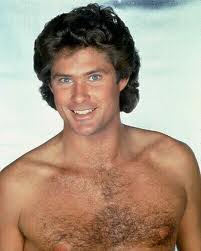 Hasselhoff's user avatar