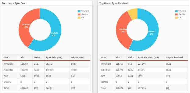 Top Users - Bytes Sent and Received Report Screenshot