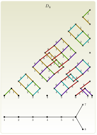 A Dynkin diagram of a D8-variety with associated Hasse diagram