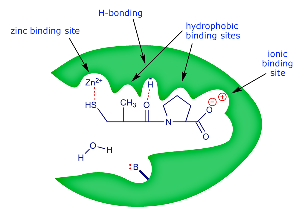 Captopril