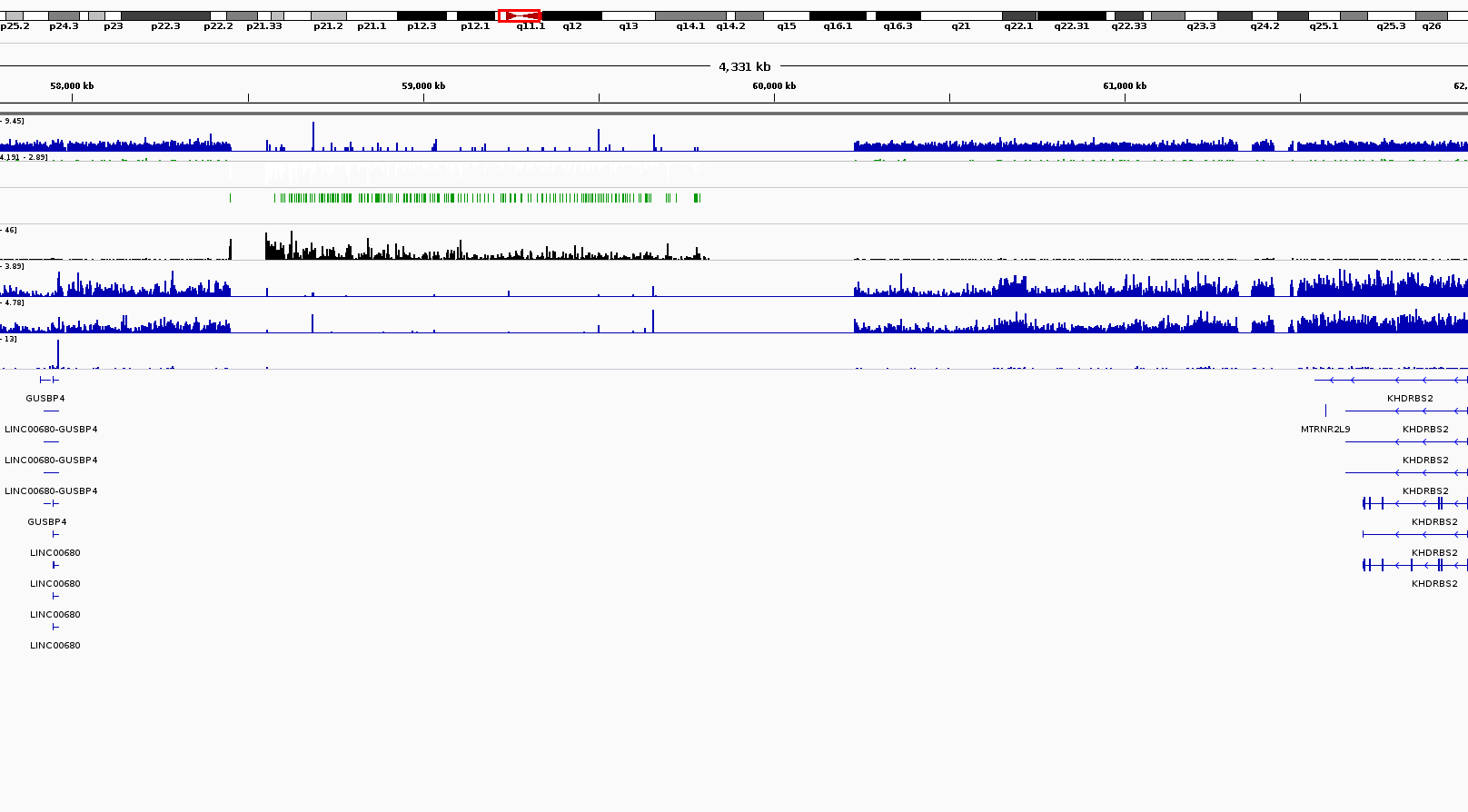 Centromere with other proteins