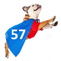 Flydog57