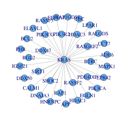 Interaction network of human KRAS