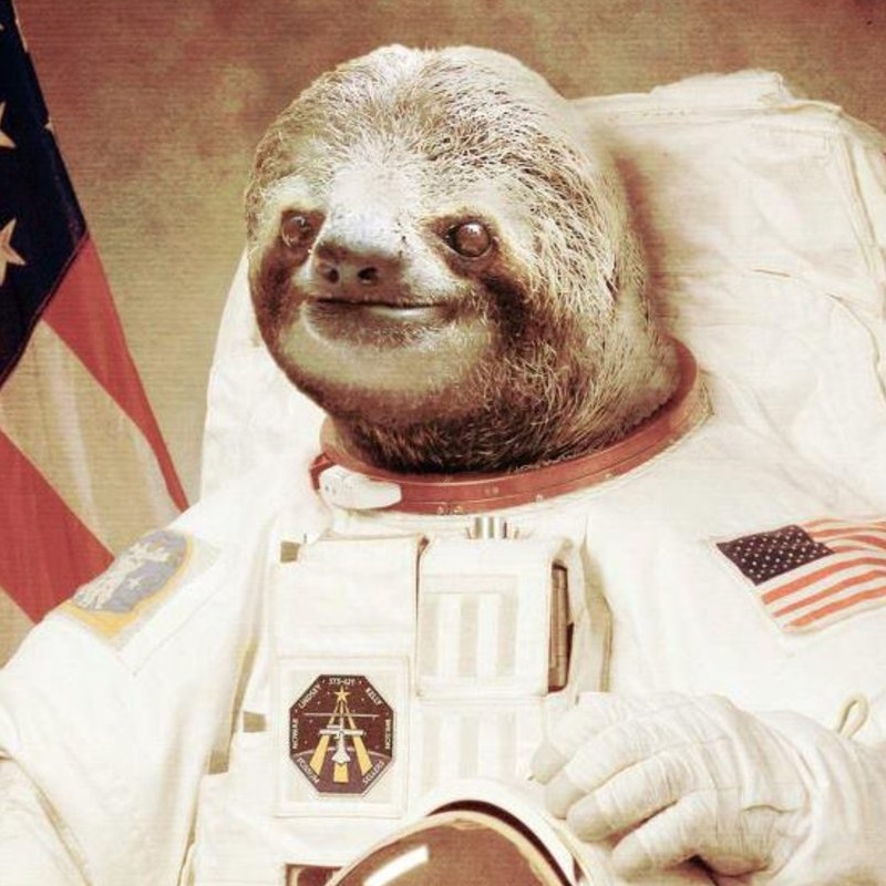 Sloth Armstrong