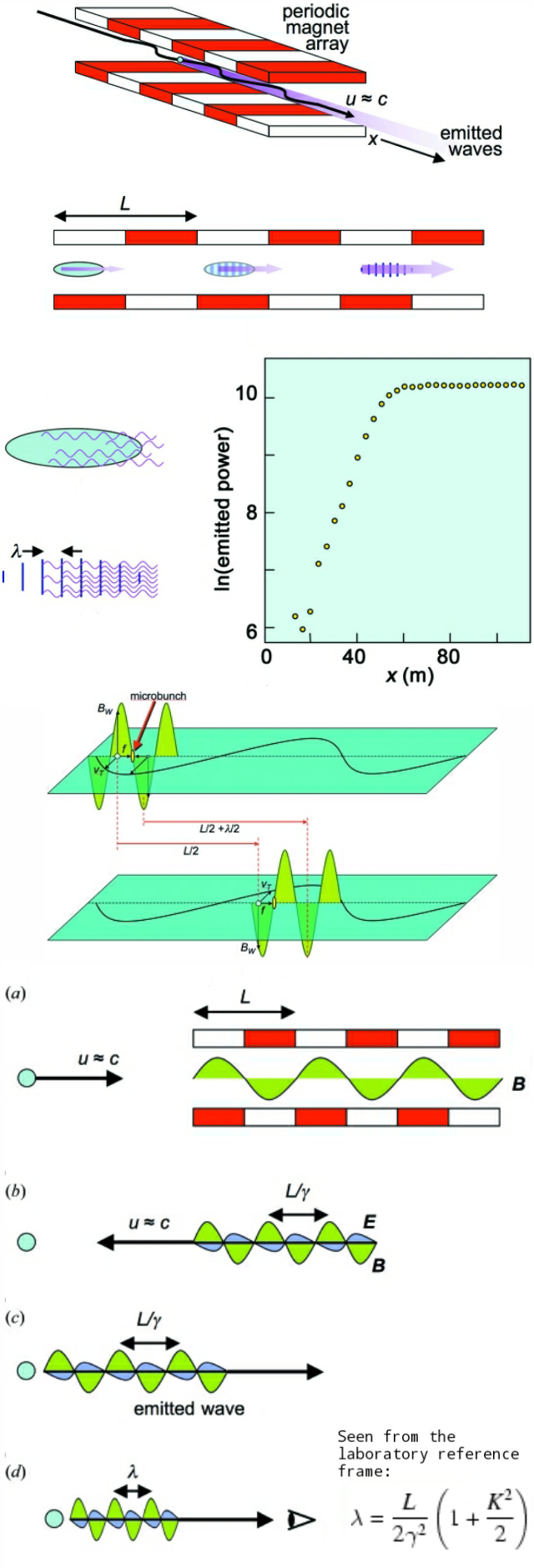 Bunching and Undulation