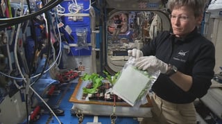 plants on the ISS