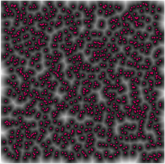 distance transform