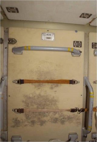 mold on the ISS