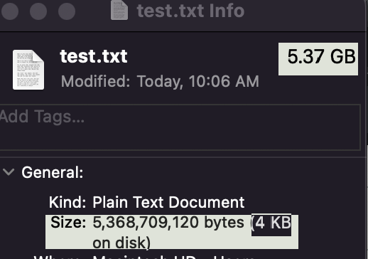 Top line highlighted displays the size as 5 Gigabytes. However, further down it displays the text: "4 KB on disk"