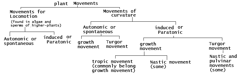 brief classification scheme of plant movements