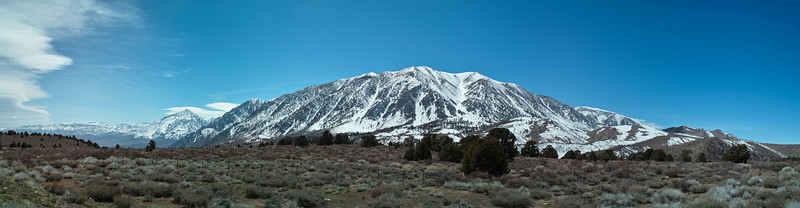 Mammoth Pano