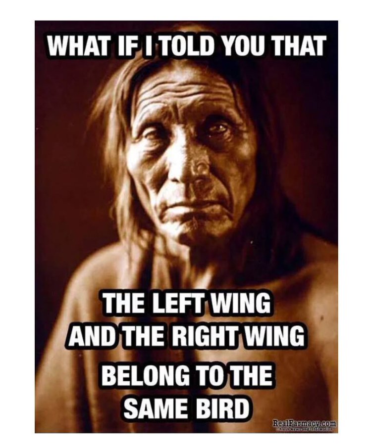 left wing right wing samebird