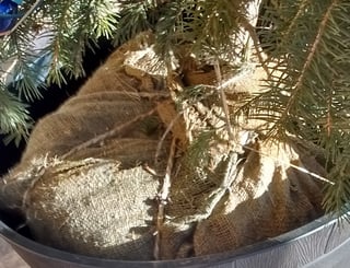 Close-up of burlap base