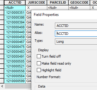 Second Screenshot showing data type of ACCTID field