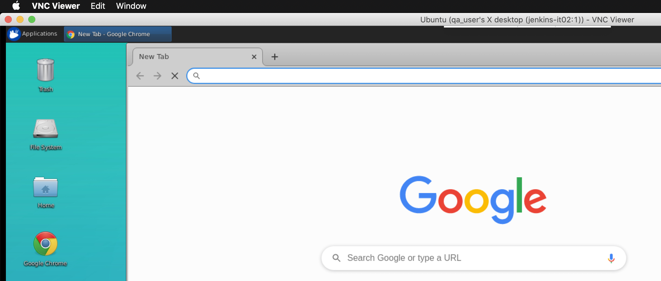 Using Chorme manually via VNCViewer