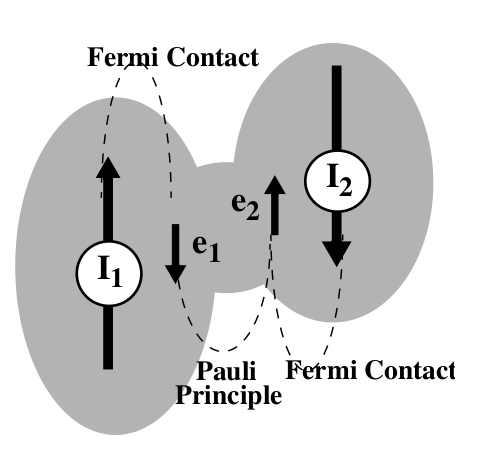 Fermi Contact Interaction