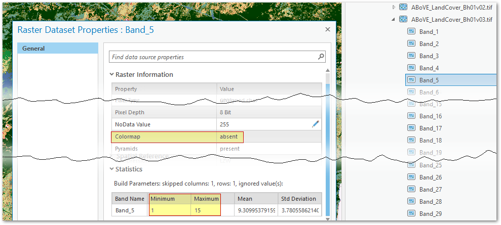 Arc Pro raster properties window for a single band