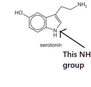 serotonin with highlighted NH group