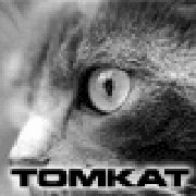 TomkatDF2's user avatar