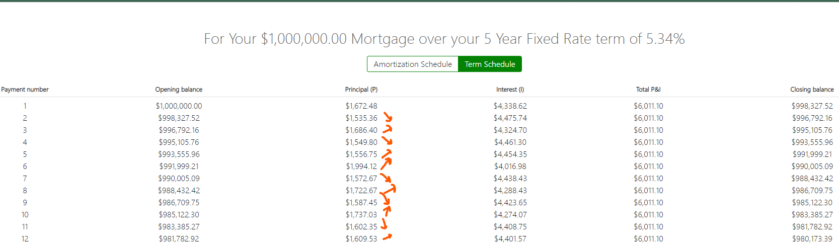 Amortization Schedule