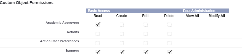 banner custom object permissions