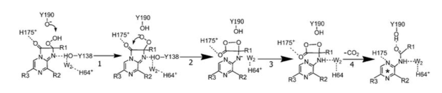 Reaction scheme for conversion of coelenterazine