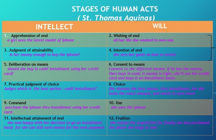 12 Stages of Human Action