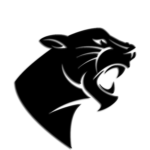 puma's user avatar