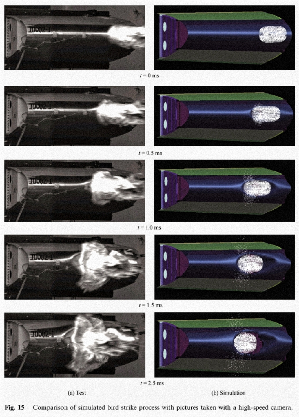 bird strike, simulation Vs. test